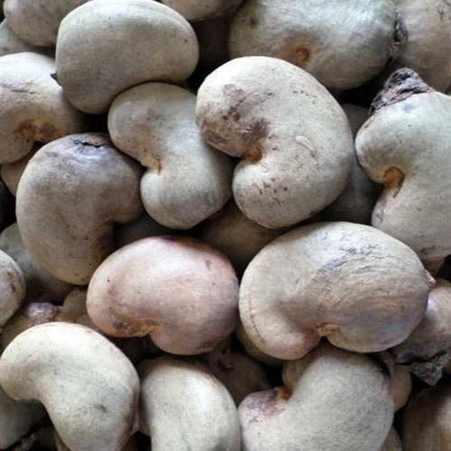 price of raw cashew nuts in africa