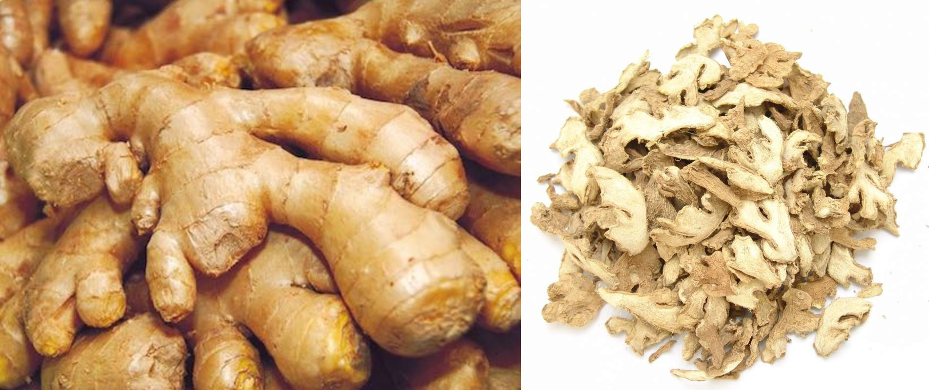 Dried Split Ginger Exporters In Nigeria Leading Ginger Suppliers 8835