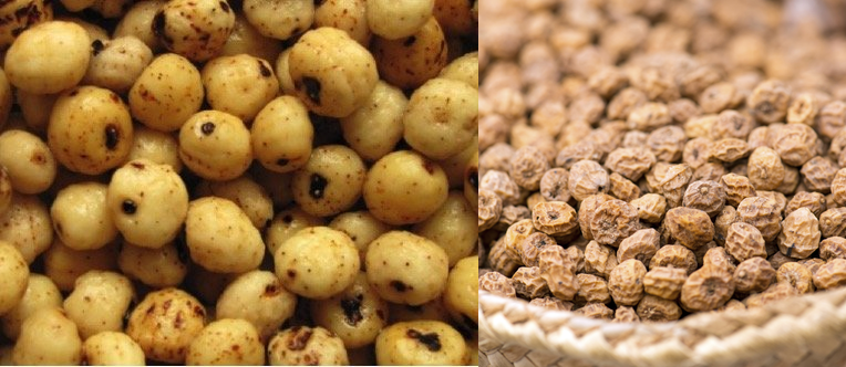 Tiger Nuts Exporters In Nigeria Tiger Nuts Suppliers And Buyers Ofio